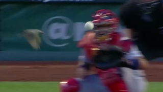 Adam Wainwright Almost Murdered A Bird, Randy Johnson Style